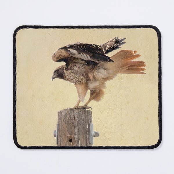 Item preview, Red-tailed Hawk on Post designed and sold by CarolM.