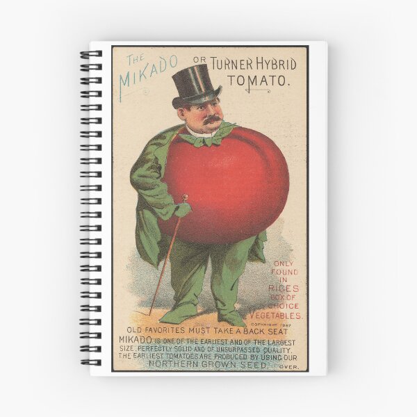 Artikelvorschau, Die Mikado- oder Turner-Hybridtomate. Nur in Rices Gemüseauswahlbox erhältlich. Alte Favoriten müssen in den Hintergrund treten. entworfen und verkauft von td2x10e3.