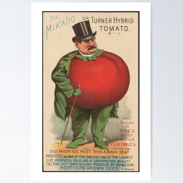Item preview, The Mikado or Turner Hybrid tomato. Only found in Rices box of choice vegetables. Old favorites must take a back seat. designed and sold by td2x10e3.