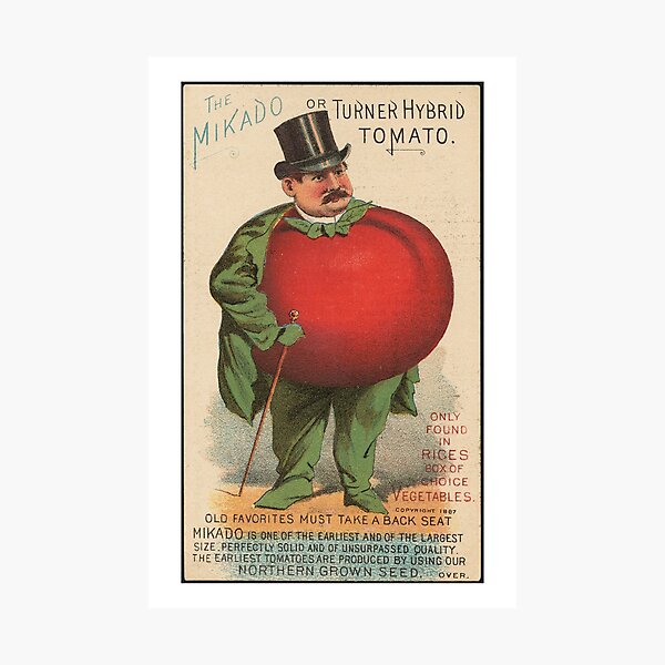 Item preview, The Mikado or Turner Hybrid tomato. Only found in Rices box of choice vegetables. Old favorites must take a back seat. designed and sold by td2x10e3.