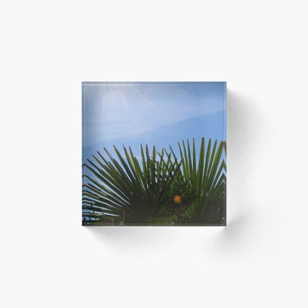 Palm Fans & Sun Rays Acrylic Block