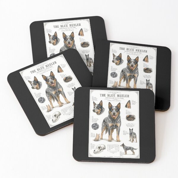Item preview, The Blue Heeler designed and sold by TeAgaEse.