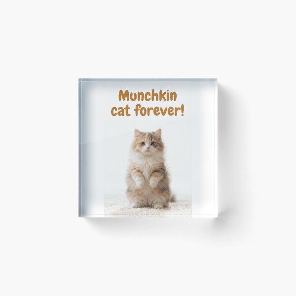 Item preview, Munchkin Cat Forever! Cute Fluffy Cat designed and sold by ValhallaFantasy.