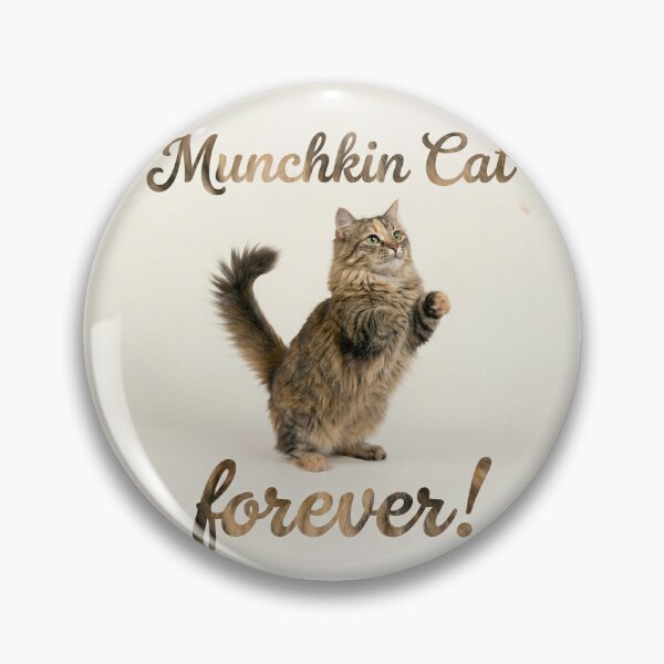 Item preview, Munchkin Cat Forever! Cute Fluffy Standing Cat designed and sold by ValhallaFantasy.