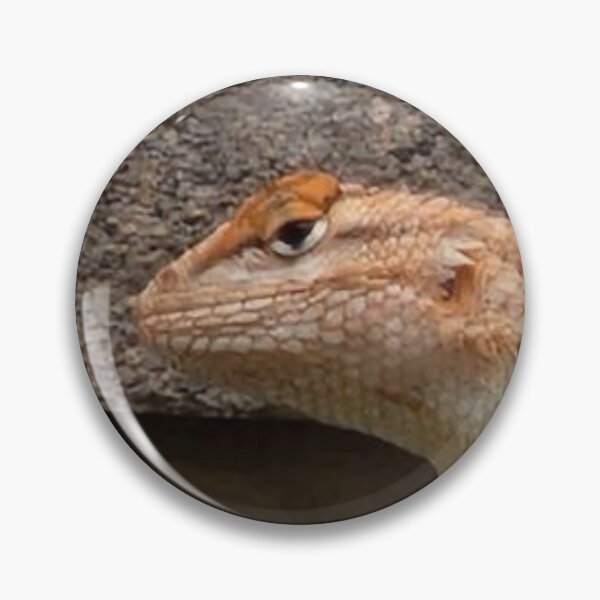 Item preview, Collared lizard designed and sold by Courtney Croxall.