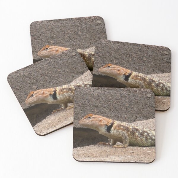 Item preview, Collared lizard designed and sold by Courtney Croxall.