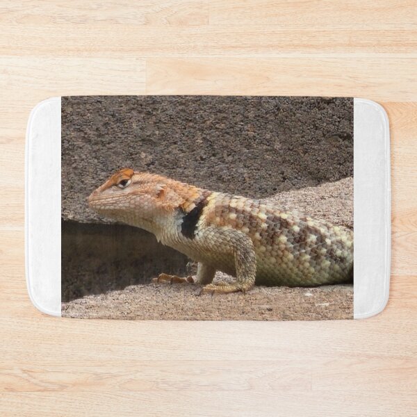 Item preview, Collared lizard designed and sold by Courtney Croxall.