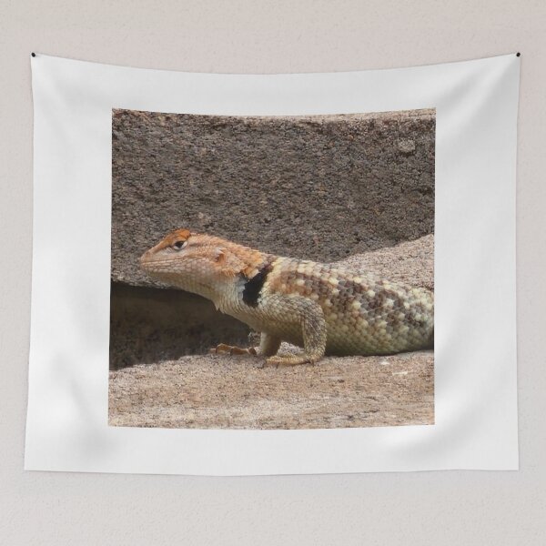 Item preview, Collared lizard designed and sold by Courtney Croxall.