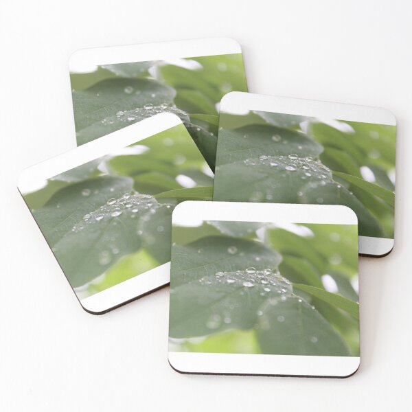 Item preview, Dew drops upon the leaves designed and sold by CassCommerer.