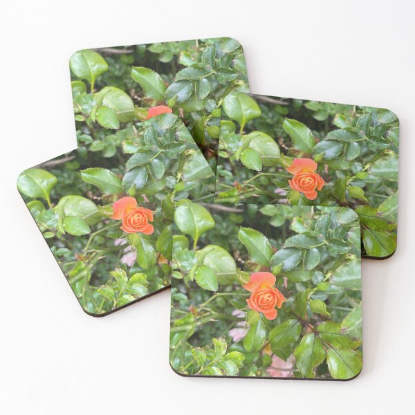 Item preview, A Single Bloom (photo) designed and sold by Sparkleweather.
