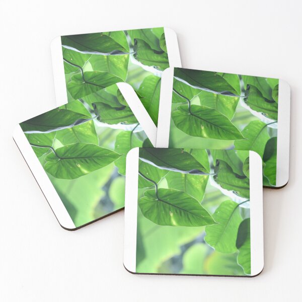 Item preview, Tropical Rainforest  designed and sold by CassCommerer.
