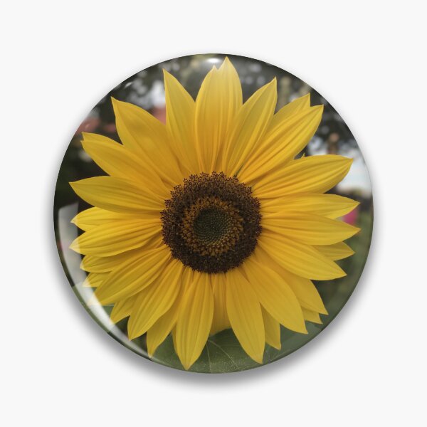 Item preview, Sunflower designed and sold by Michshell3214.