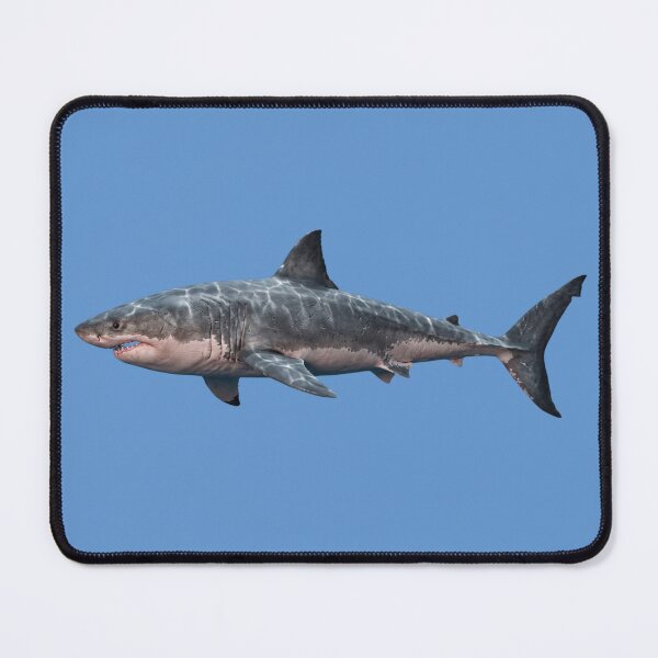 Item preview, Shark designed and sold by MorningFive.