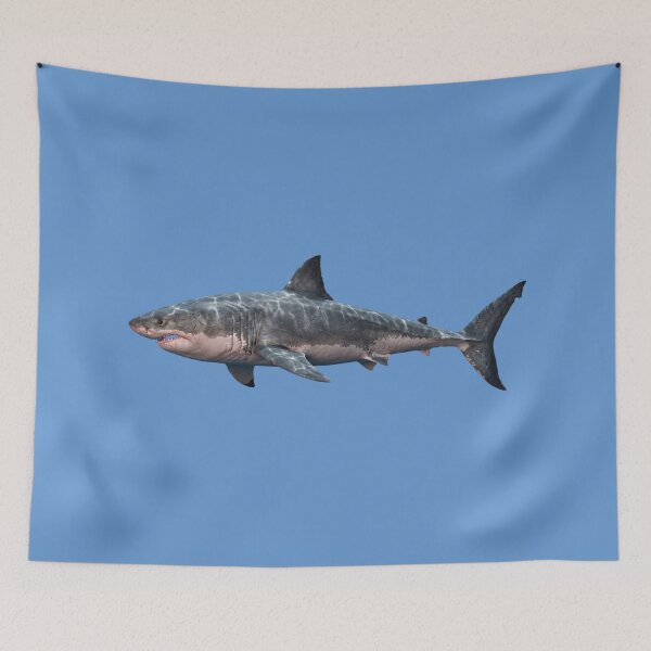 Item preview, Shark designed and sold by MorningFive.