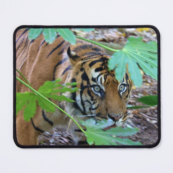 Item preview, tiger designed and sold by Jassy046.