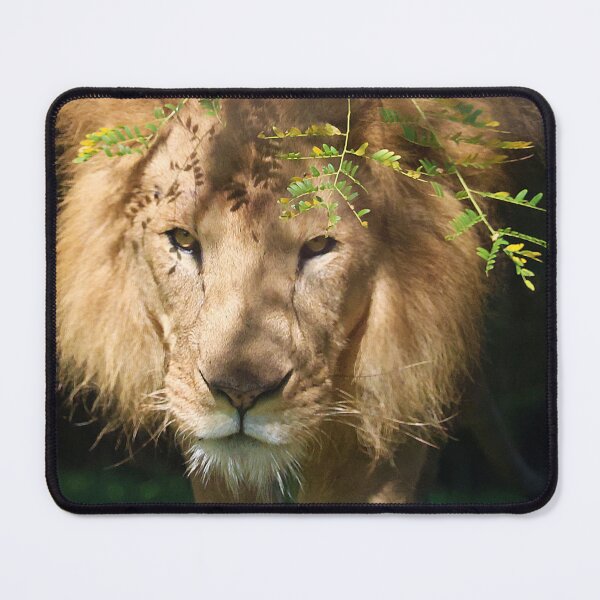 Item preview, Lion designed and sold by Jassy046.