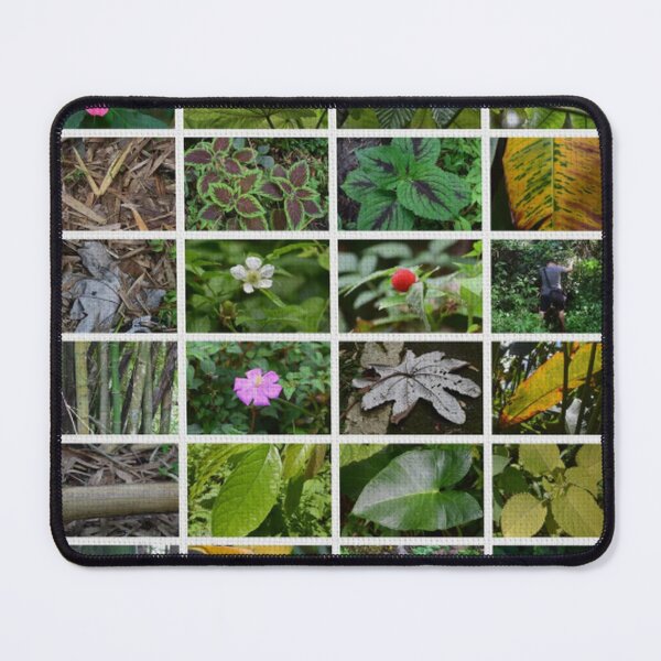 Item preview, UNIQUE Collage of 6x4 Small Images of The Rainforest PLANTS and LEAVES designed and sold by www.elyunqueprints.store.