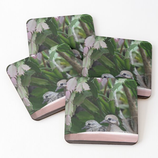 Item preview, Dove Babies designed and sold by heatherfriedman.