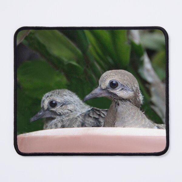 Item preview, Dove Babies designed and sold by heatherfriedman.