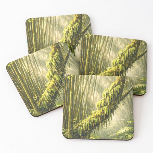 Item preview, Come in - the Rainforest PATH is open ... designed and sold by www.elyunqueprints.store.