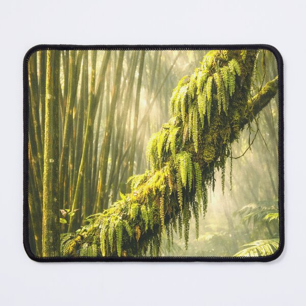 Item preview, Come in - the Rainforest PATH is open ... designed and sold by www.elyunqueprints.store.