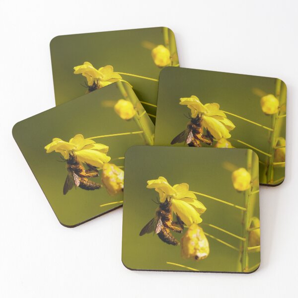 Item preview, The bee on a flower designed and sold by Dolpo.