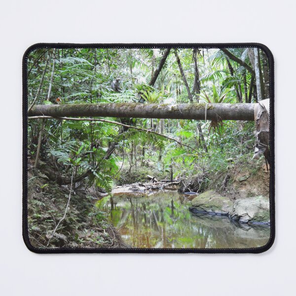 Item preview, The start of the Holy Spirit river in El Yunque rainforest PR designed and sold by www.elyunqueprints.store.