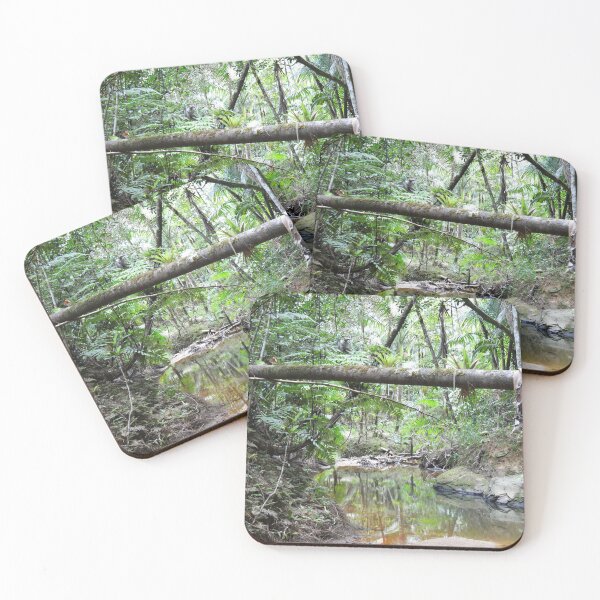 Item preview, The start of the Holy Spirit river in El Yunque rainforest PR  designed and sold by www.elyunqueprints.store.