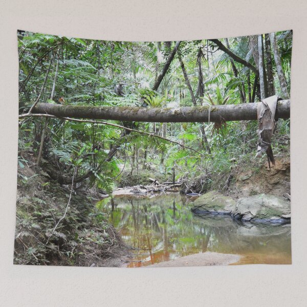 Item preview, The start of the Holy Spirit river in El Yunque rainforest PR  designed and sold by www.elyunqueprints.store.