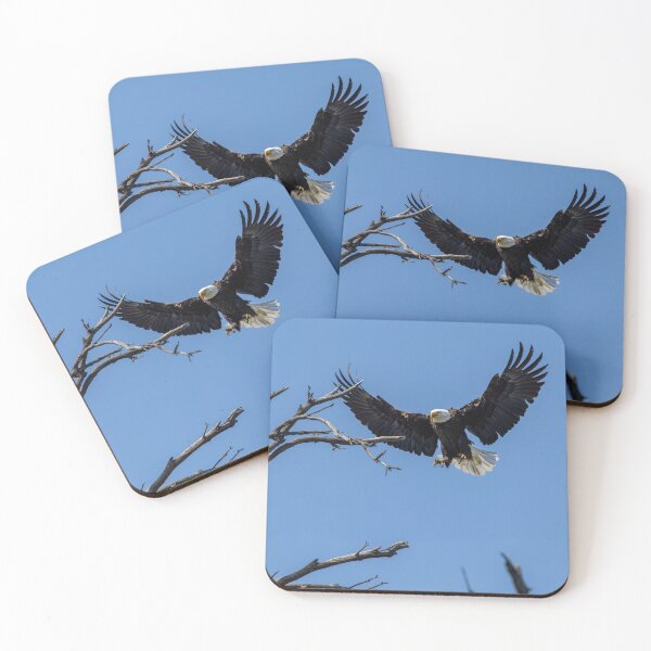Item preview, Bald Eagle Comes Up Empty To The Nest designed and sold by PsychoAlien.com.