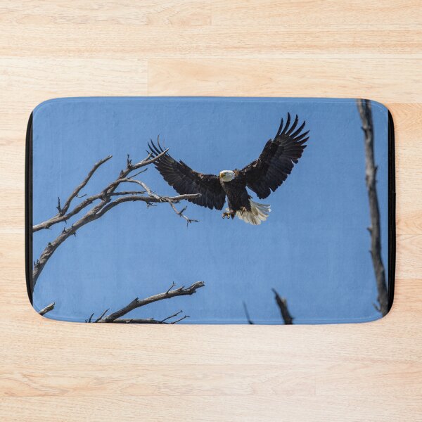 Item preview, Bald Eagle Comes Up Empty To The Nest designed and sold by PsychoAlien.com.
