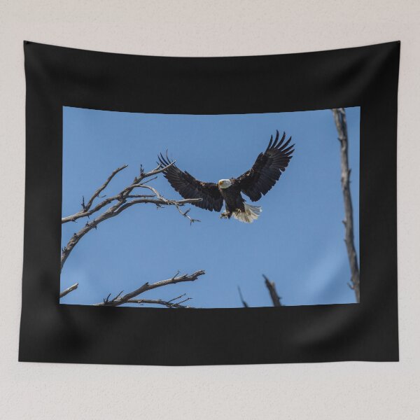 Item preview, Bald Eagle Comes Up Empty To The Nest designed and sold by PsychoAlien.com.