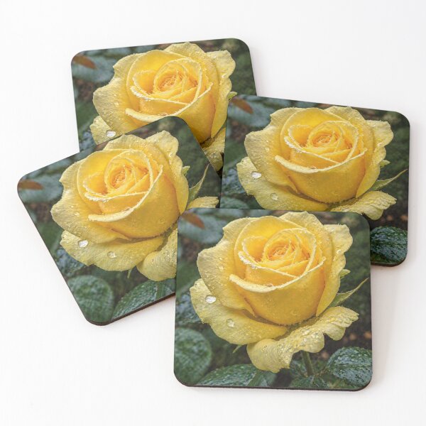 Item preview, Yellow Rose with Raindrops - Floral Macro Photography designed and sold by ChiefMomCo.