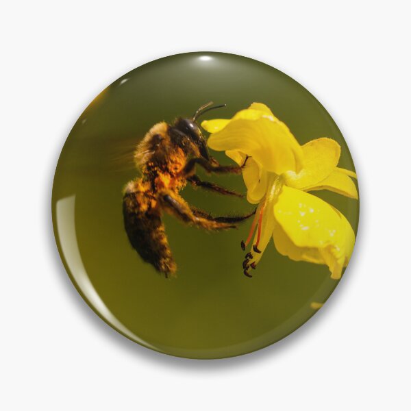 Item preview, Bee Pollinating Yellow Wildflower in Warm Natural Light designed and sold by Dolpo.