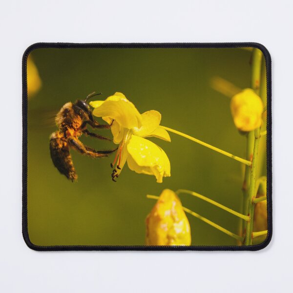 Item preview, Bee Pollinating Yellow Wildflower in Warm Natural Light designed and sold by Dolpo.