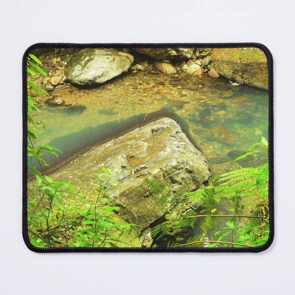 Item preview, The most beautiful pond - El Yunque rainforest La Mina trail designed and sold by www.elyunqueprints.store.