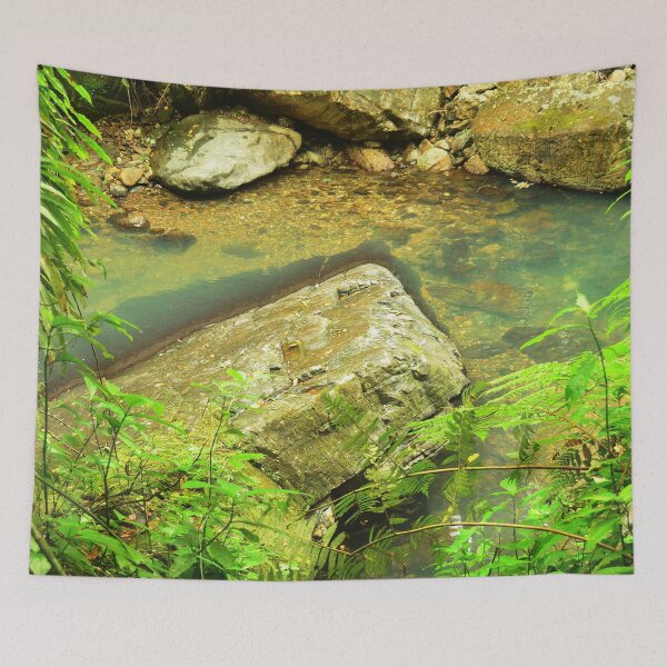 Item preview, The most beautiful pond - El Yunque rainforest La Mina trail designed and sold by www.elyunqueprints.store.