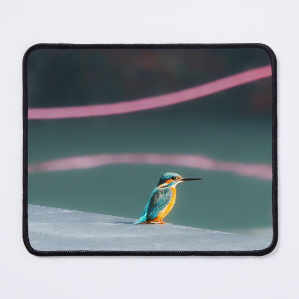 Item preview, Calm Kingfisher Bird by the Water – Colourful Wildlife Photography designed and sold by Dolpo.