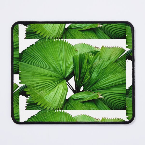 Item preview, Green and fresh leaf of a palm tree designed and sold by Rav33822.
