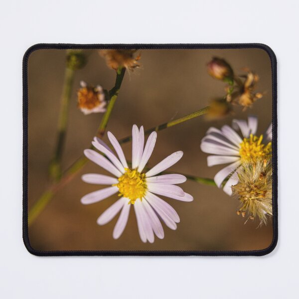 Item preview, Soft Wild Daisy Flower  designed and sold by Dolpo.