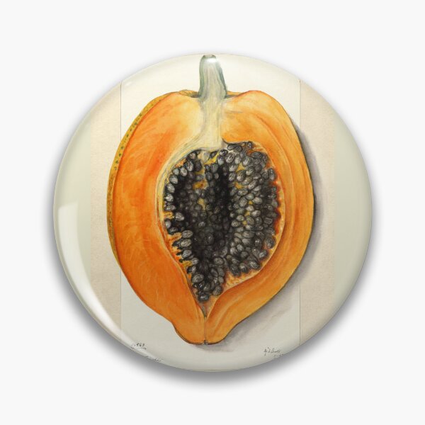 Item preview, Carica Papaya Botanical Art 1912 designed and sold by Glimmersmith.