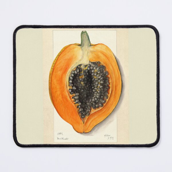 Item preview, Carica Papaya Botanical Art 1912 designed and sold by Glimmersmith.