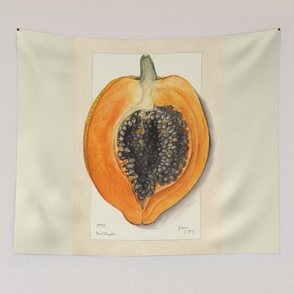 Item preview, Carica Papaya Botanical Art 1912 designed and sold by Glimmersmith.