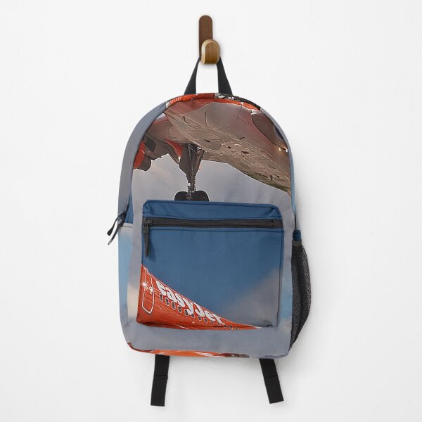 Item preview, The Moment of Flight easyJet A320 at VR designed and sold by Skyframe Aviation.
