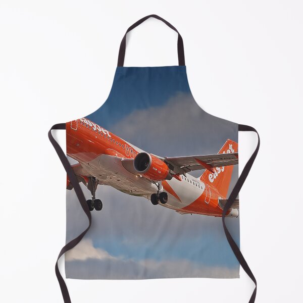 Item preview, The Moment of Flight easyJet A320 at VR designed and sold by Skyframe Aviation.
