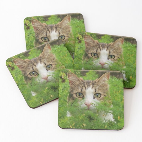 Item preview, Hidden Hunter Cat – Cute Watching Cat in Green Nature designed and sold by MB-CatPrints.