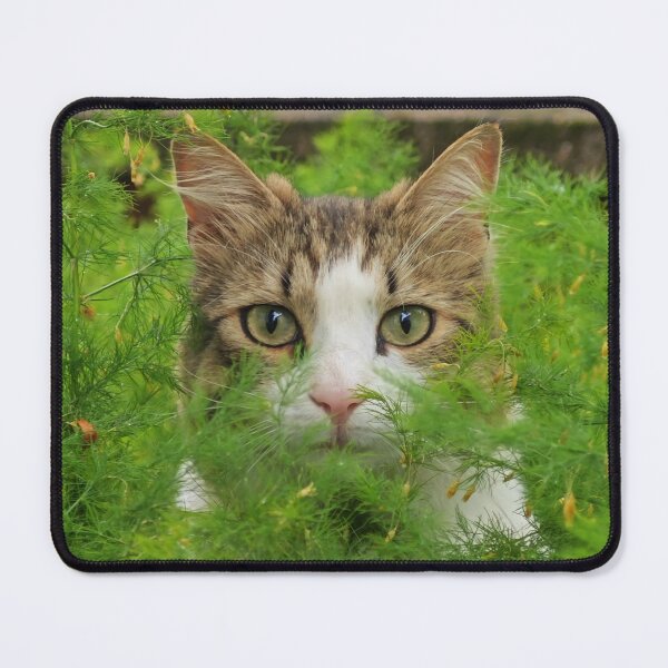 Item preview, Hidden Hunter Cat – Cute Watching Cat in Green Nature designed and sold by MB-CatPrints.