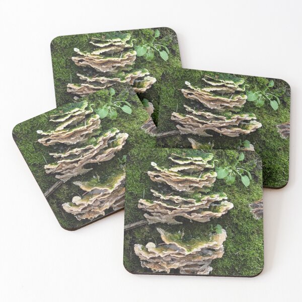 Item preview, Layered Shelf Fungus Support System designed and sold by CymaticResonanceArt.