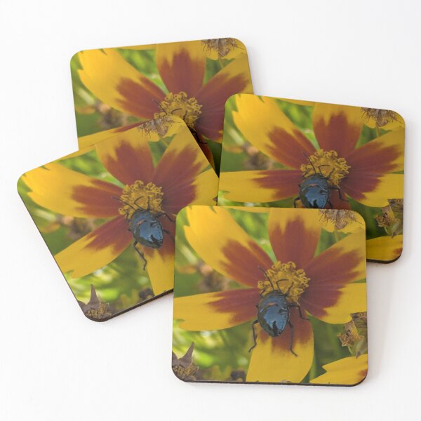 Item preview, Beetle on Yellow Coreopsis Flower designed and sold by CymaticResonanceArt.