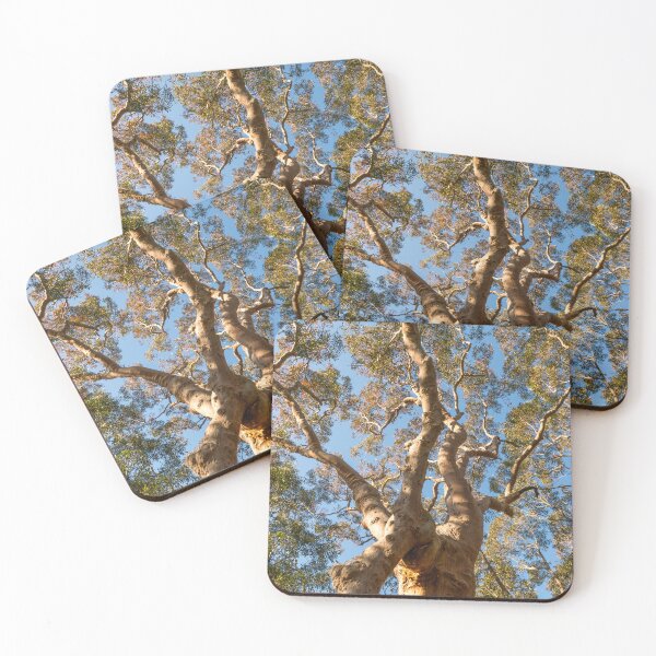 Item preview, Scribbly Gum Tree, Australia designed and sold by Ross.A.Campbell.